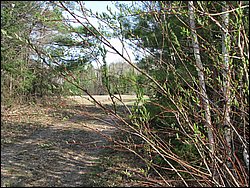 April 2008 039.jpg