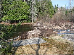April 2008 049.jpg