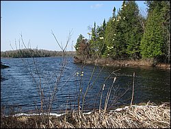 April 2008 051.jpg