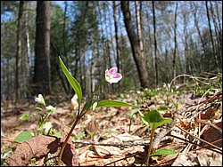April 2008 057.jpg