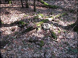 April 2008 061.jpg
