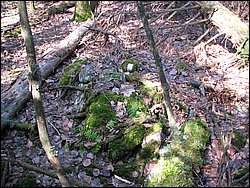 April 2008 062.jpg