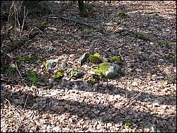 April 2008 065.jpg