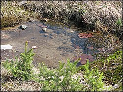April 2008 069.jpg