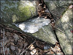 April 2008 071.jpg