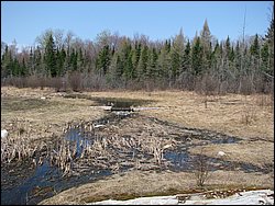 April 2008 074.jpg