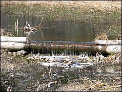 April 2008 075.jpg