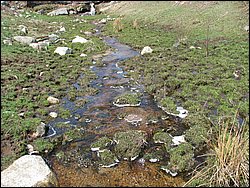 April 2008 100.jpg