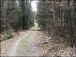 April 2008 108.jpg