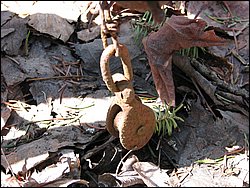 April 2008 121.jpg