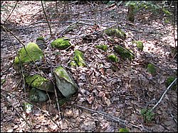 April 2008 123.jpg