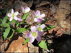 April 2008 125.jpg