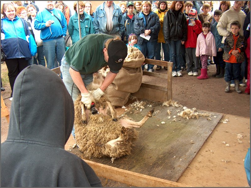Maple Syrup 2007 44.JPG