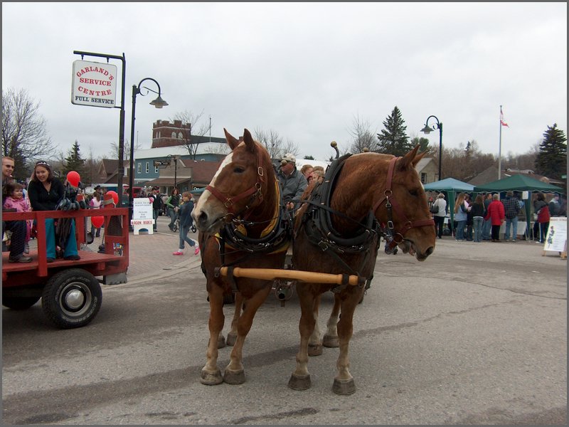 Maple Syrup 2007 47.JPG