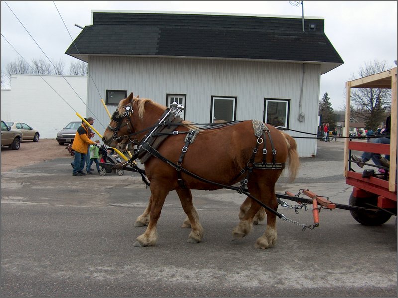 Maple Syrup 2007 48.JPG