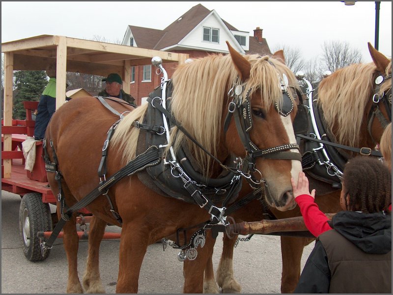 Maple Syrup 2007 68.JPG