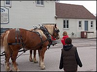 Maple Syrup 2007 69.JPG