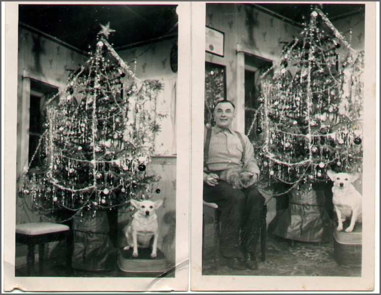 Christmas.jpg
