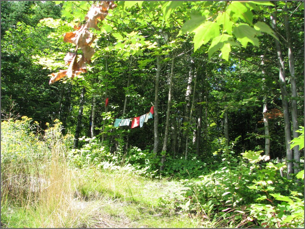 Moose_Mountain_22.jpg