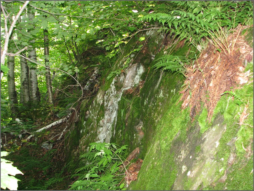 Moose_Mountain_30.jpg