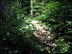 Moose_Mountain_06.jpg
