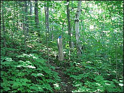Moose_Mountain_08.jpg