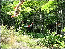 Moose_Mountain_22.jpg