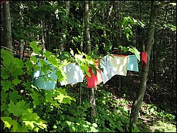 Moose_Mountain_26.jpg