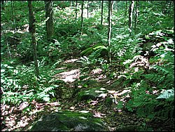 Moose_Mountain_32.jpg