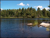 Mud Lake BBQ July 2006 06.JPG
