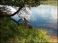Mud Lake BBQ July 2006 33.JPG