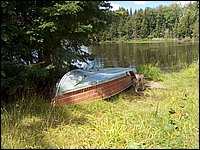 Mud Lake BBQ July 2006 35.JPG