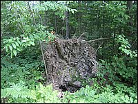 Mud Lake BBQ July 2006 40.JPG