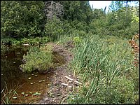 Mud Lake BBQ July 2006 43.JPG