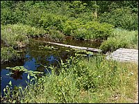Mud Lake BBQ July 2006 44.JPG