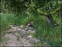 Mud Lake BBQ July 2006 54.JPG