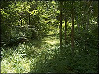Mud Lake BBQ July 2006 58.JPG