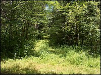 Mud Lake BBQ July 2006 59.JPG