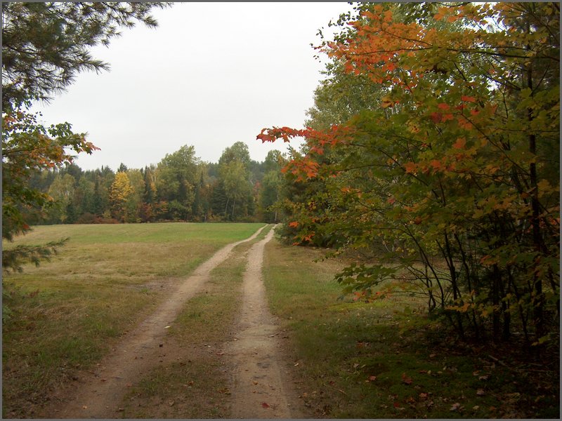 Mud Lake 2006c.jpg