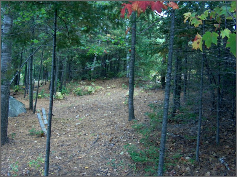 Mud Lake 2006h.jpg