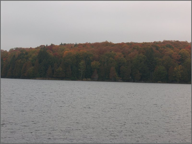 Mud Lake 2006n.jpg