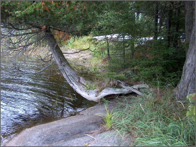 Mud Lake 2006q.jpg