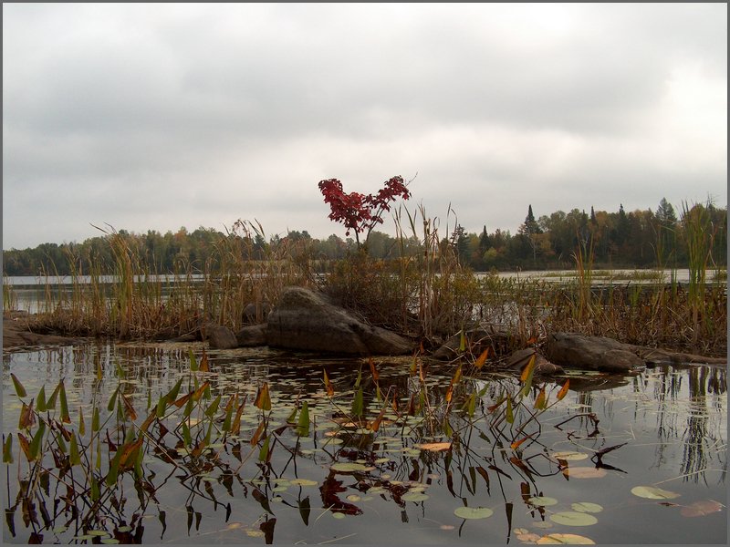 Mud Lake Island a.jpg