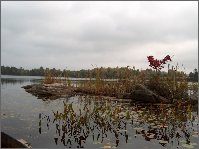 Mud Lake Island b.jpg
