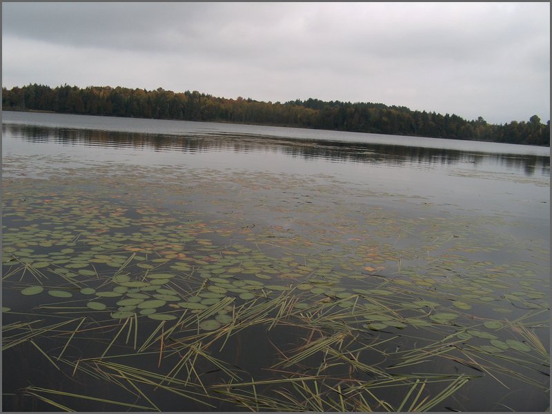 Mud Lake2006h.jpg