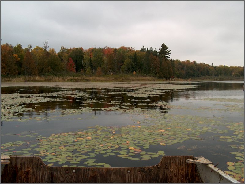 Mud Lake2006k.jpg