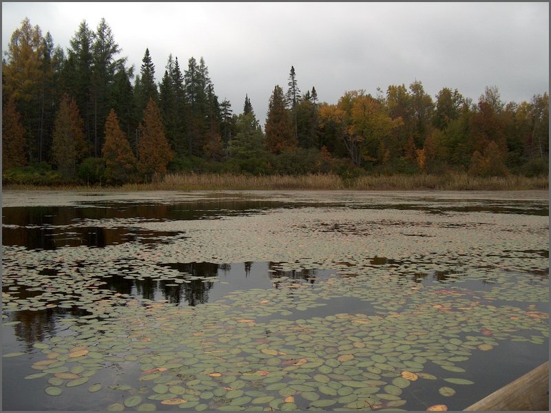Mud Lake2006l.jpg