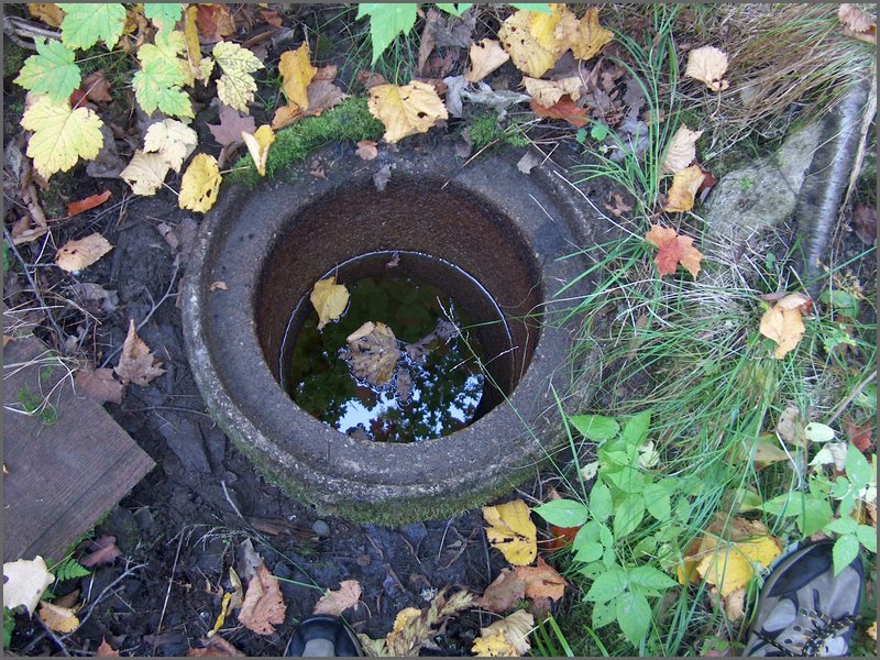 Well By Cox's 3.jpg