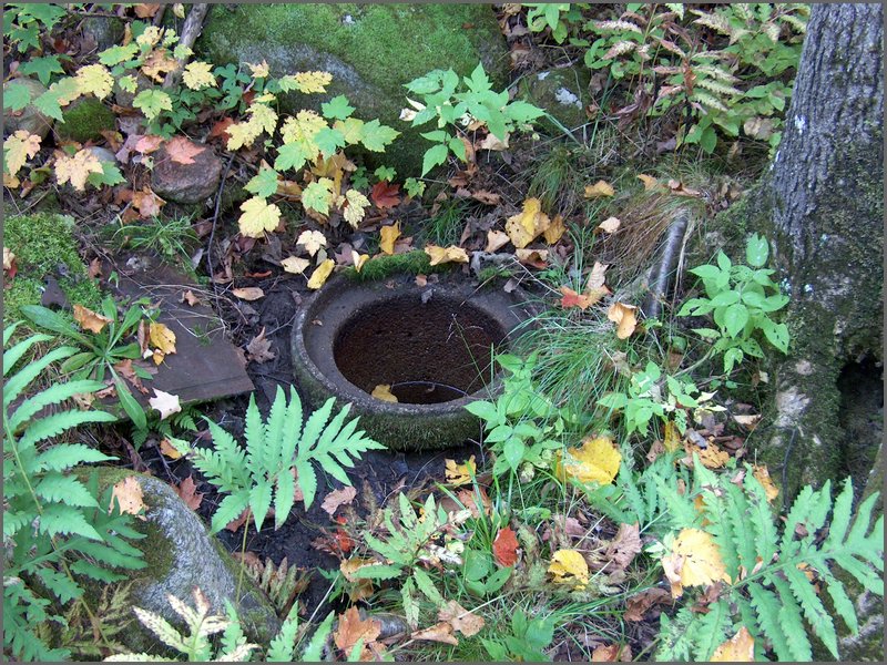 Well By Cox's 4.jpg