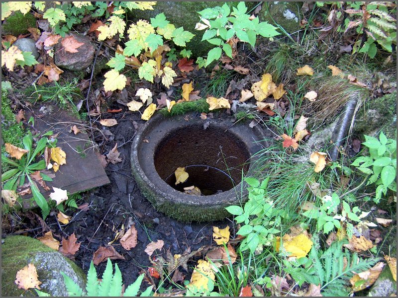 Well By Cox's 5.jpg